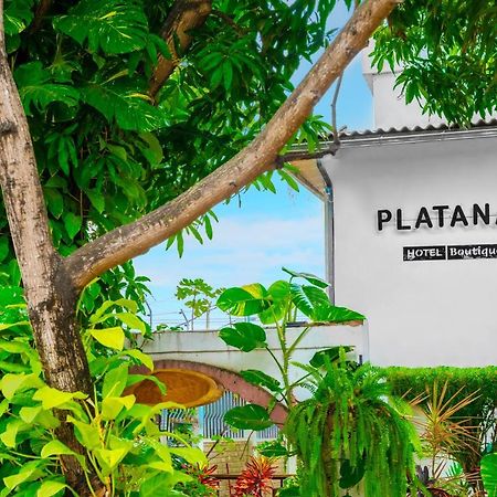 Hotel Boutique Platanal Πορτοβιέχο Εξωτερικό φωτογραφία