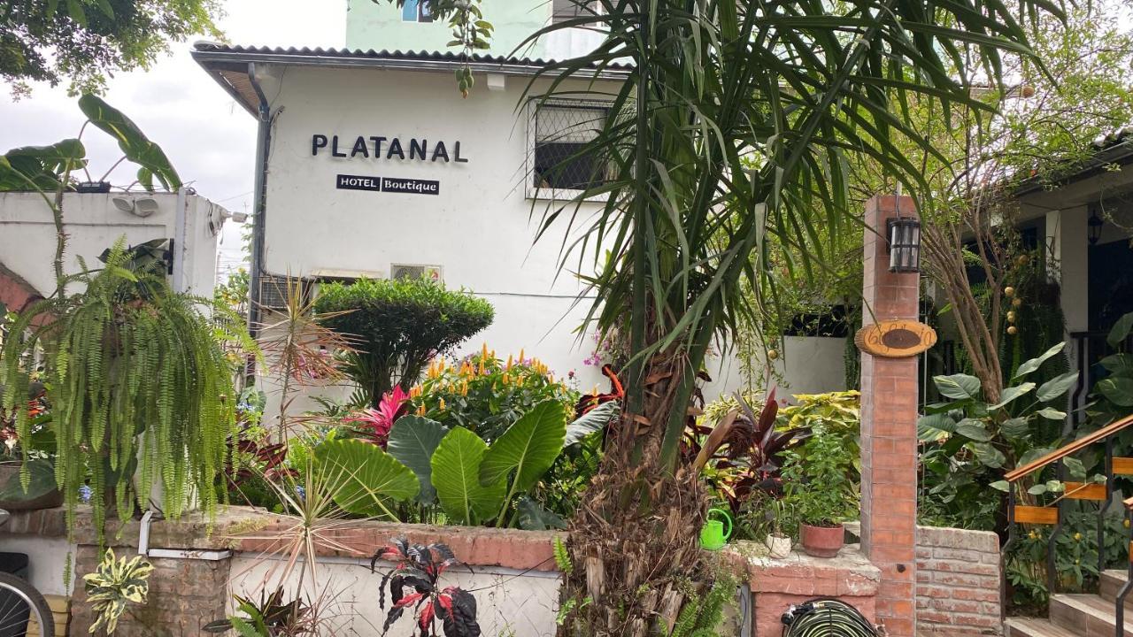 Hotel Boutique Platanal Πορτοβιέχο Εξωτερικό φωτογραφία